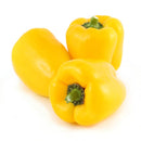 Yellow Capsicum